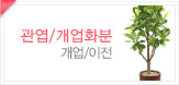 관엽/개업화분